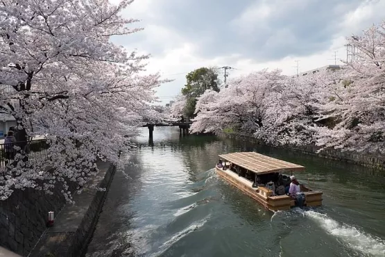 yamashina ward kyoto