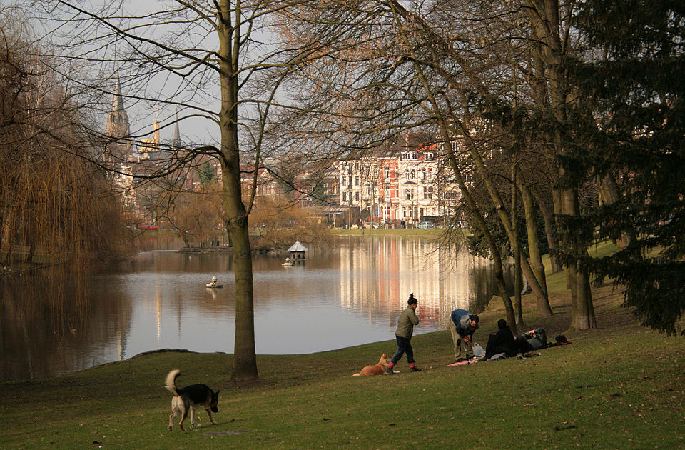 00 ixelles etangs 1 jpg
